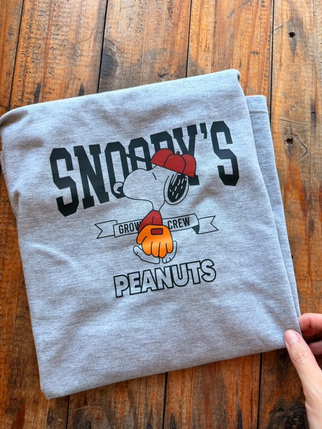 Snoopy's Crew