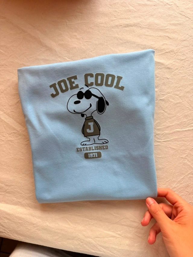 Joe Cool Established